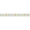 Светодиодная лента RT 2-5000 24V Cool 8K 2x2 (5060, 600 LED, LUX) (Arlight, 28.8 Вт/м, IP20)
