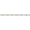 Светодиодная лента RT 2-5000 12V Yellow 2x (3528, 600 LED, LUX) (Arlight, 9.6 Вт/м, IP20)